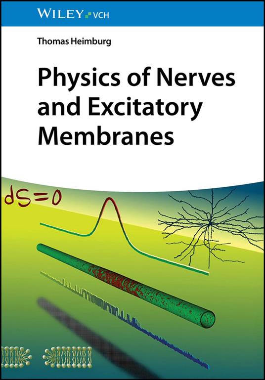 Physics of Nerves and Excitatory Membranes