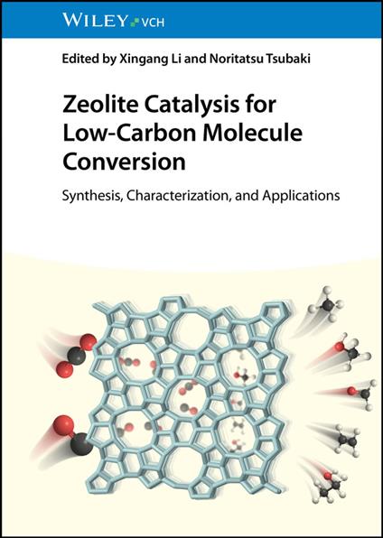 Zeolite Catalysis for Low-Carbon Molecule Conversion