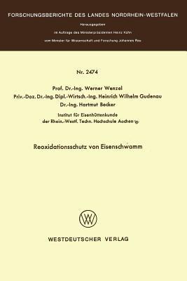 Reoxidationsschutz von Eisenschwamm - Werner Wenzel - cover