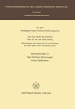 Grenzschichten in Gas-Teilchen-Strömungen hinter Stoßwellen