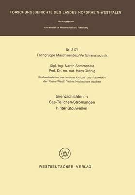 Grenzschichten in Gas-Teilchen-Strömungen hinter Stoßwellen - Martin Sommerfeld - cover