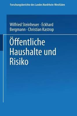 Öffentliche Haushalte und Risiko - Eckhard Bergmann,Christian Kastrop,Wilfried Steinheuer - cover