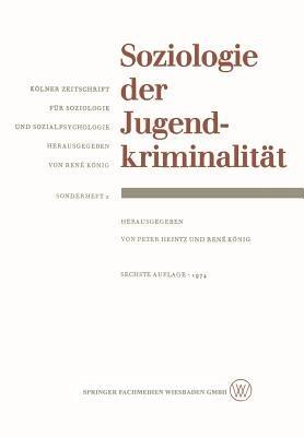 Soziologie der Jugendkriminalität - cover
