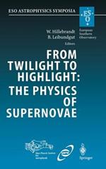 From Twilight to Highlight: The Physics of Supernovae: Proceedings of the ESO/MPA/MPE Workshop Held at Garching, Germany, 29–31 July 2002
