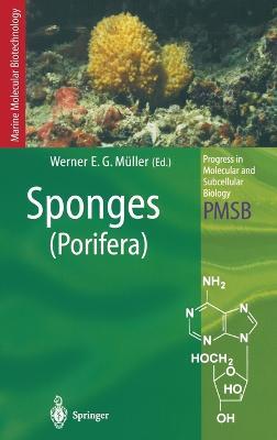 Sponges: Porifera - cover