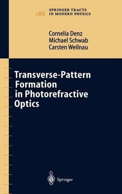 Transverse-Pattern Formation in Photorefractive Optics - Cornelia Denz,Michael Schwab,Carsten Weilnau - cover