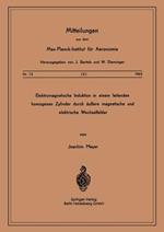 Elektromagnetische Induktion in einem Leitenden Homogenen Zylinder durch Äussere Magnetische und Elektrische Wechselfelder