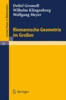 Riemannsche Geometrie im Großen - Detlef Gromoll,Wilhelm Klingenberg,Wolfgang Meyer - cover