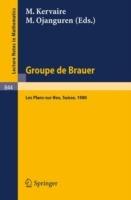 Groupe de Brauer: Seminaire, Les Plans-sur-Bex, Suisse, 1980 - cover