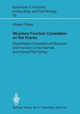 Structure Function Correlation on Rat Kidney: Quantitative Correlation of Structure and Function in the Normal and Injured Rat Kidney - Walter Pfaller - cover