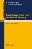 Brauer Groups in Ring Theory and Algebraic Geometry: Proceedings, University of Antwerp U.I.A., Belgium, August 17-28, 1981 - cover