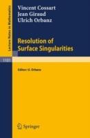 Resolution of Surface Singularities: Three Lectures - Vincent Cossart,Jean Giraud,Ulrich Orbanz - cover