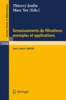 Grossissements de filtrations: exemples et applications: Seminaire de Calcul Stochastique 1982/83 Universite Paris VI - cover