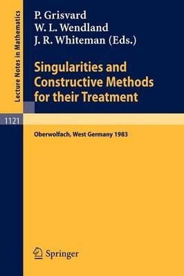 Singularities and Constructive Methods for Their Treatment: Proceedings of the Conference held in Oberwolfach, West Germany, November 20-26, 1983 - cover