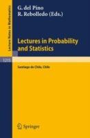 Lectures in Probability and Statistics: Lectures Given at the Winter School in Probability and Statistics Held in Santiago de Chile - cover