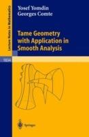 Tame Geometry with Application in Smooth Analysis - Yosef Yomdin,Georges Comte - cover