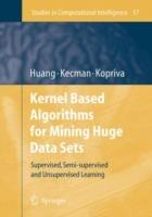Kernel Based Algorithms for Mining Huge Data Sets: Supervised, Semi-supervised, and Unsupervised Learning - Te-Ming Huang,Vojislav Kecman,Ivica Kopriva - cover