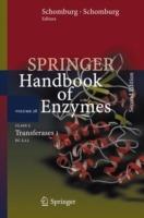 Class 2 Transferases I: EC 2.1.1 - cover