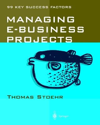 Managing e-business Projects: 99 Key Success Factors - Thomas Stoehr - cover