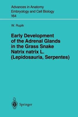Early Development of the Adrenal Glands in the Grass Snake Natrix natrix L. (Lepidosauria, Serpentes) - W. Rupik - cover