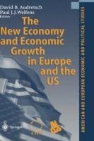 The New Economy and Economic Growth in Europe and the US - cover