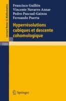 Hyperresolutions cubiques et descente cohomologique - Francisco Guillen,Vincente Navarro Aznar,Pedro Pascual-Gainza - cover