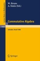 Commutative Algebra: Proceedings of a Workshop held in Salvador, Brazil, Aug. 8-17, 1988 - cover