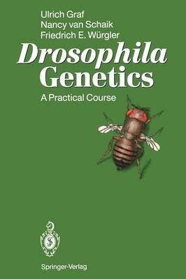 Drosophila Genetics: A Practical Course - Ulrich Graf,Nancy van Schaik,Friedrich E. Würgler - cover
