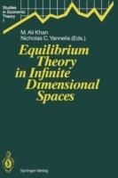 Equilibrium Theory in Infinite Dimensional Spaces - cover