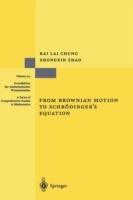 From Brownian Motion to Schrödinger’s Equation - Kai L. Chung,Zhongxin Zhao - cover