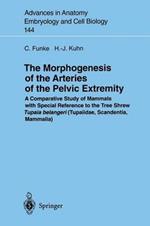 The Morphogenesis of the Arteries of the Pelvic Extremity: A Comparative Study of Mammals with special Reference to the Tree Shrew Tupaia belangeri (Tupaiidae, Scandentia, Mammalia)