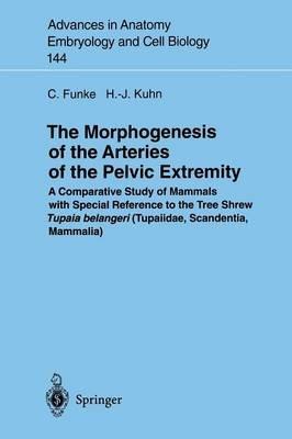 The Morphogenesis of the Arteries of the Pelvic Extremity: A Comparative Study of Mammals with special Reference to the Tree Shrew Tupaia belangeri (Tupaiidae, Scandentia, Mammalia) - Carolin Funke,Hans-Jörg Kuhn - cover
