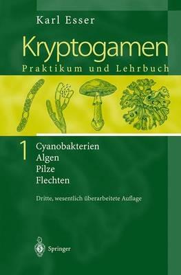 Kryptogamen 1: Cyanobakterien Algen Pilze Flechten Praktikum und Lehrbuch - Karl Esser - cover