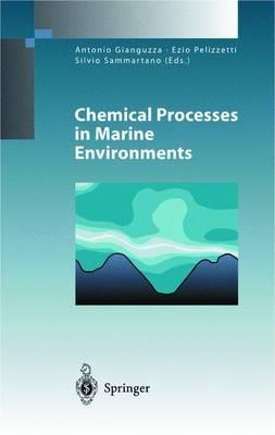 Chemical Processes in Marine Environments - cover