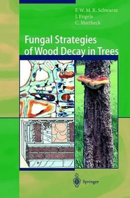 Fungal Strategies of Wood Decay in Trees - Francis W.M.R. Schwarze,Julia Engels,Claus Mattheck - cover