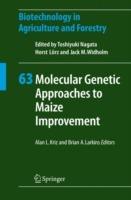 Molecular Genetic Approaches to Maize Improvement - cover