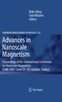 Advances in Nanoscale Magnetism: Proceedings of the International Conference on Nanoscale Magnetism ICNM-2007, June 25 -29, Istanbul, Turkey - cover