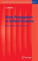 Wave Propagation in Infinite Domains: With Applications to Structure Interaction - Lutz Lehmann - cover