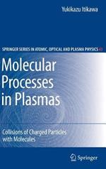 Molecular Processes in Plasmas: Collisions of Charged Particles with Molecules