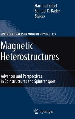 Magnetic Heterostructures: Advances and Perspectives in Spinstructures and Spintransport - cover