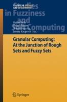 Granular Computing: At the Junction of Rough Sets and Fuzzy Sets - cover