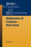 Mathematics of Fuzziness—Basic Issues - Xuzhu Wang,Da Ruan,Etienne E. Kerre - cover