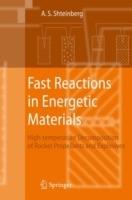 Fast Reactions in Energetic Materials: High-Temperature Decomposition of Rocket Propellants and Explosives - Alexander S. Shteinberg - cover