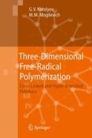 Three-Dimensional Free-Radical Polymerization: Cross-Linked and Hyper-Branched Polymers - Gennady V. Korolyov,Michael Mogilevich - cover