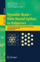Dynamic Brain - from Neural Spikes to Behaviors: 12th International Summer School on Neural Networks, Erice, Italy, December 5-12, 2007, Revised Lectures