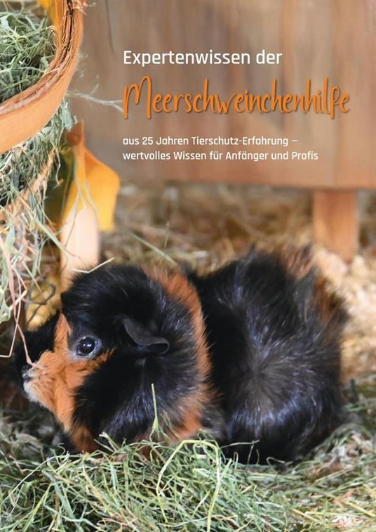 Expertenwissen der Meerschweinchenhilfe