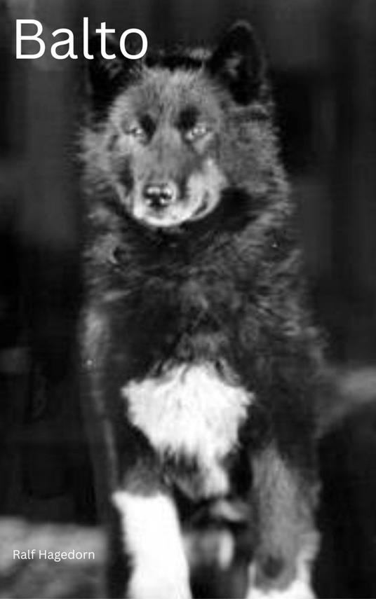 Balto