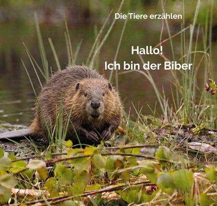 Hallo! Ich bin der Biber - Petra Fürst - ebook