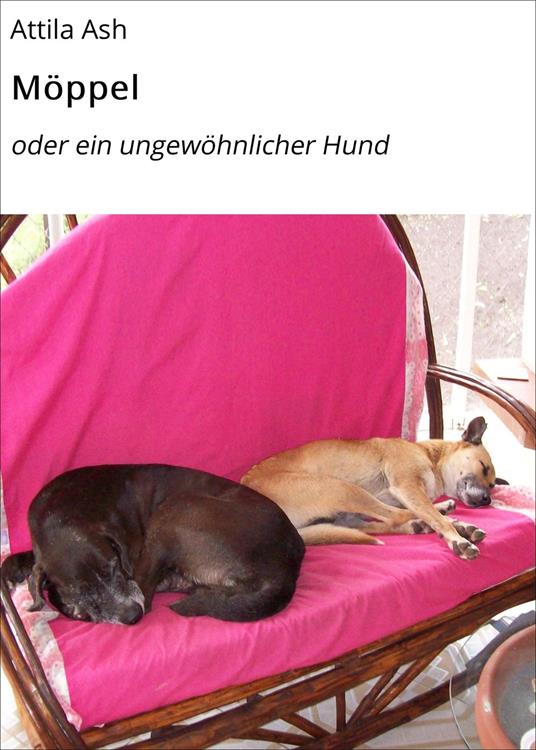 Möppel