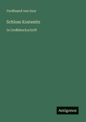 Schloss Kostenitz: in Großdruckschrift - Ferdinand Von Saar - cover